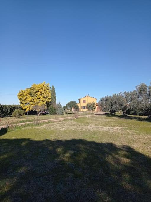 La Casina Di Campagna Tra Cecina E Bibbona Villa Eksteriør billede