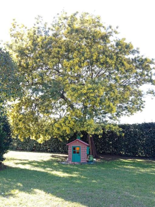 La Casina Di Campagna Tra Cecina E Bibbona Villa Eksteriør billede